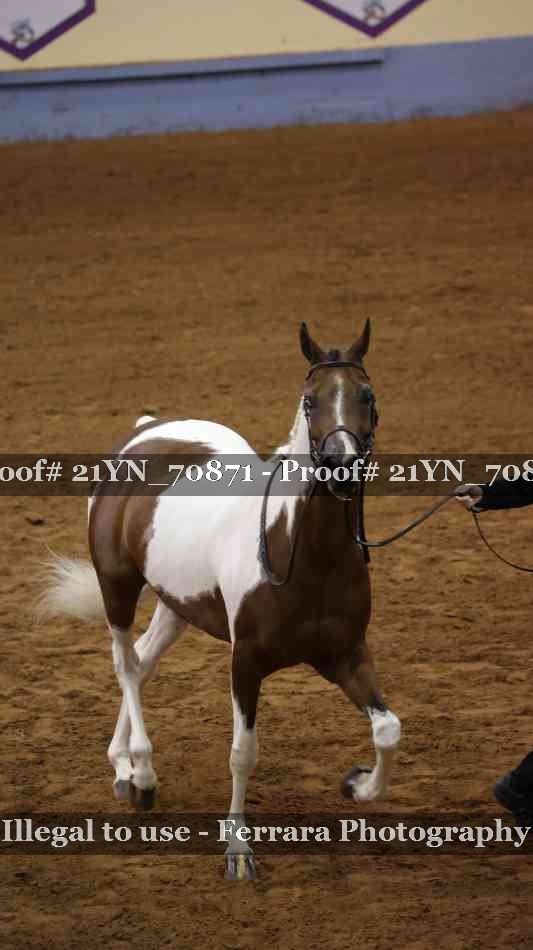 Proof 21YN_70871