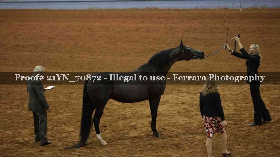 Proof 21YN_70872