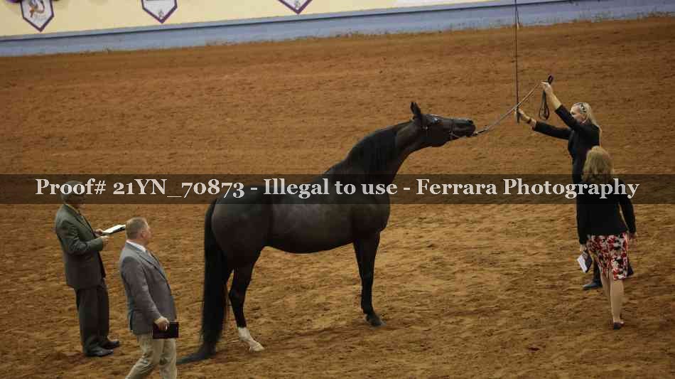 Proof 21YN_70873