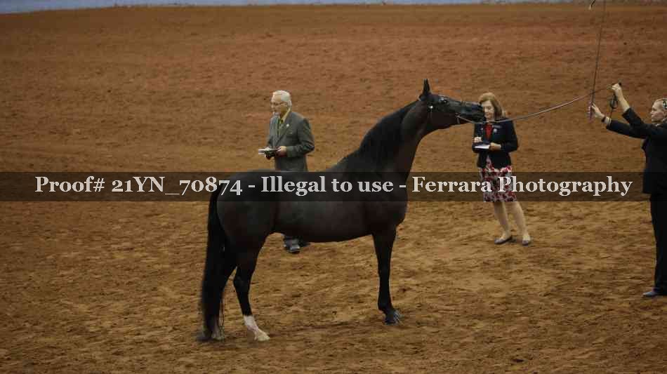 Proof 21YN_70874