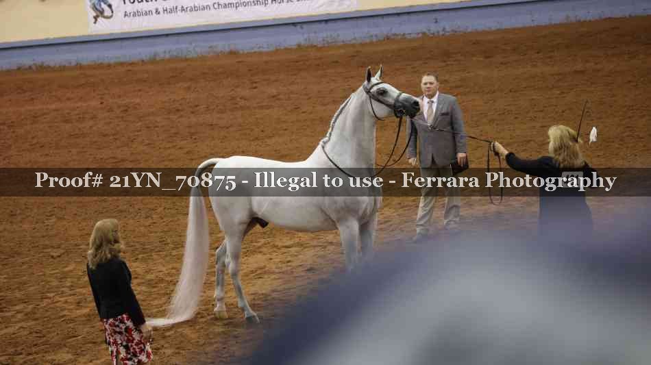 Proof 21YN_70875