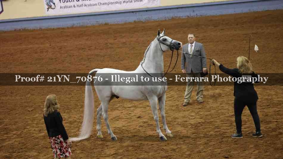 Proof 21YN_70876