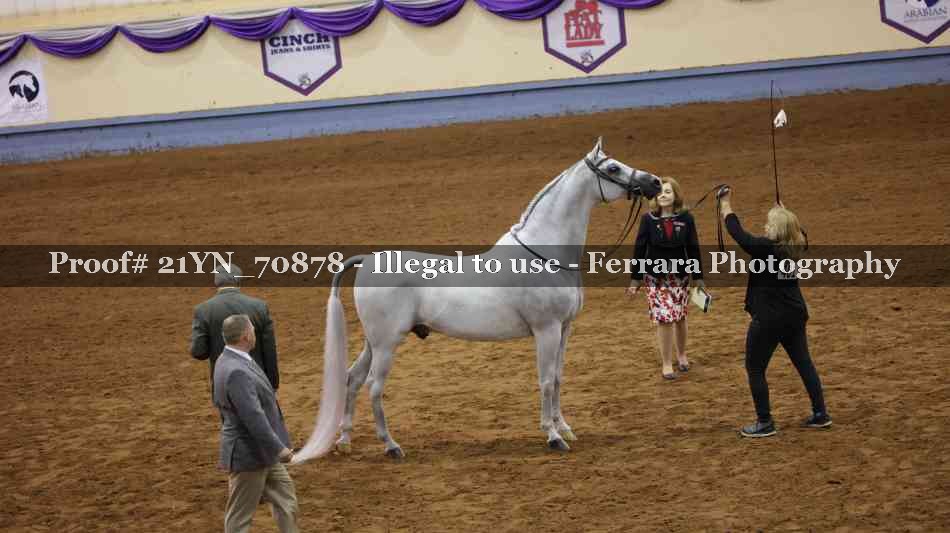 Proof 21YN_70878