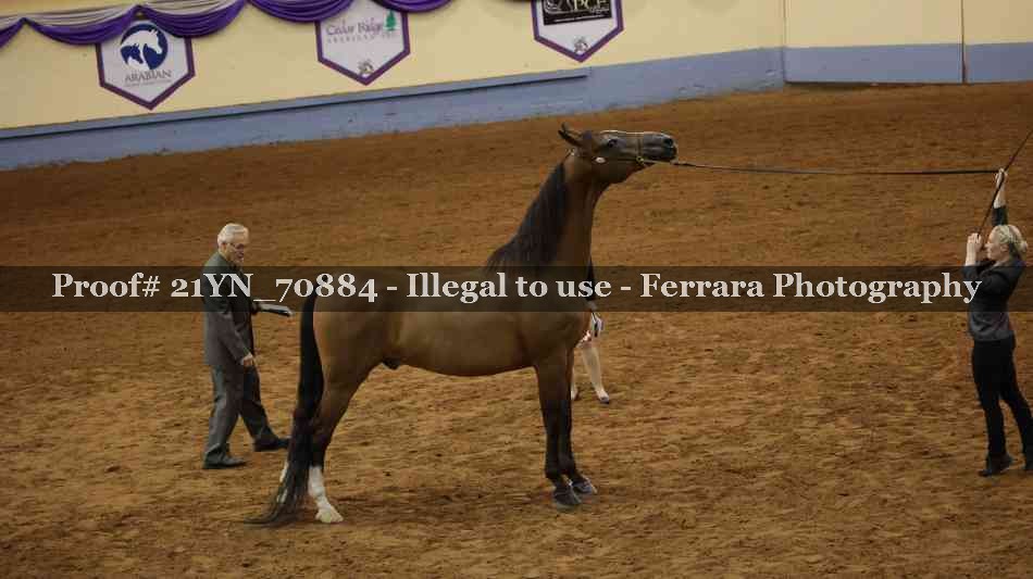 Proof 21YN_70884