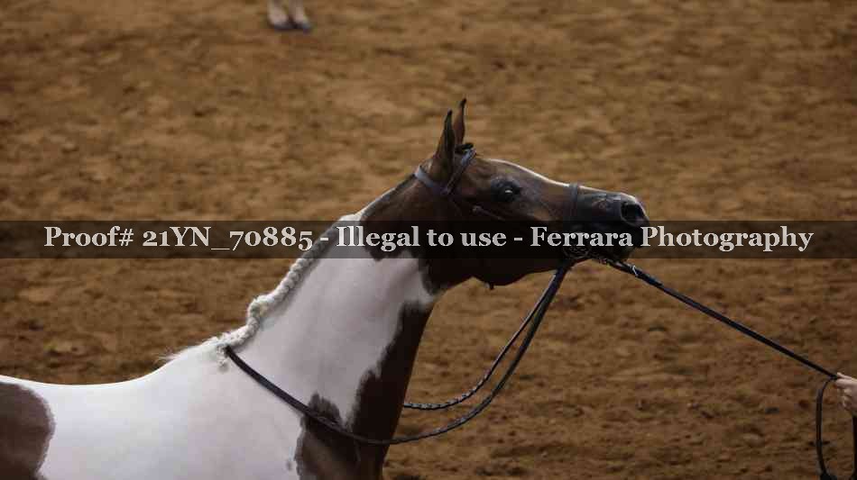 Proof 21YN_70885