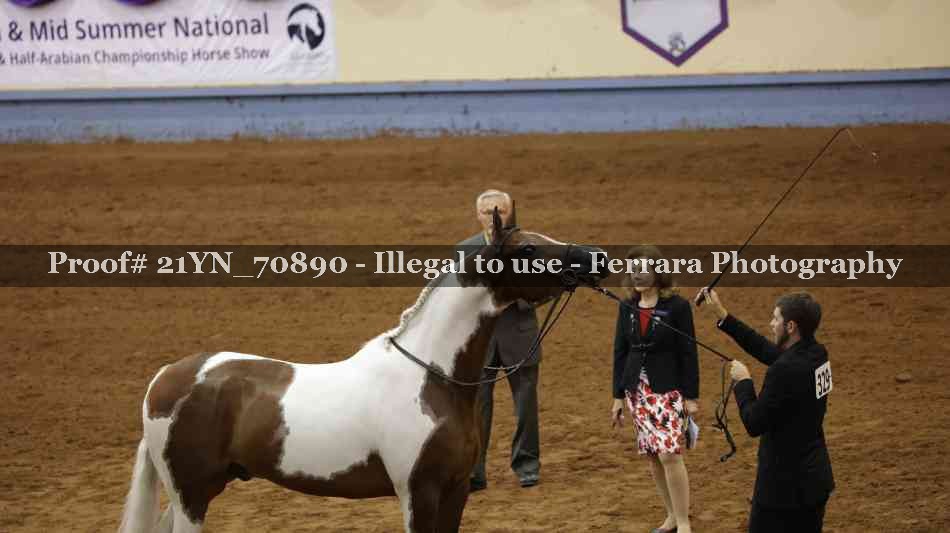 Proof 21YN_70890