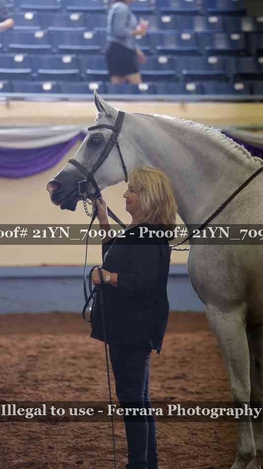 Proof 21YN_70902