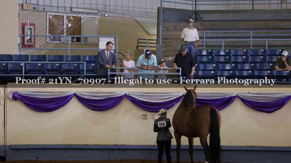Proof 21YN_70907