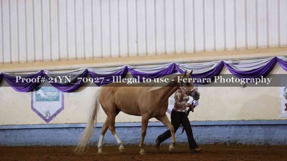 Proof 21YN_70927