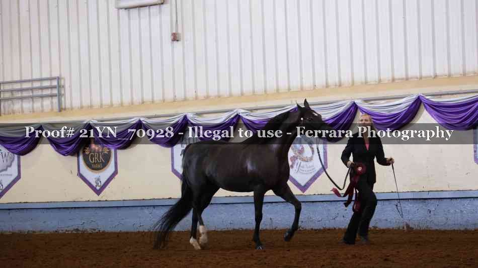 Proof 21YN_70928