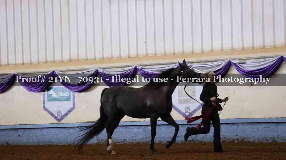 Proof 21YN_70931