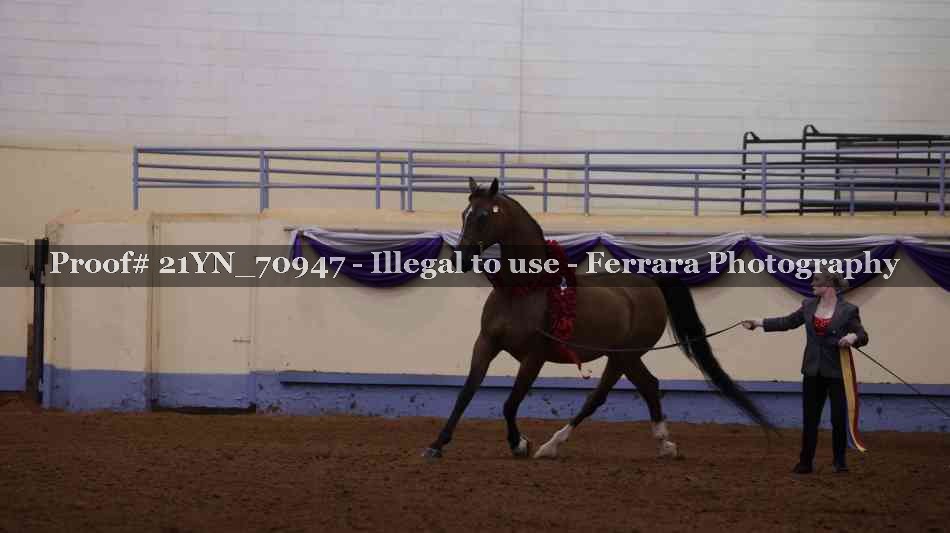 Proof 21YN_70947
