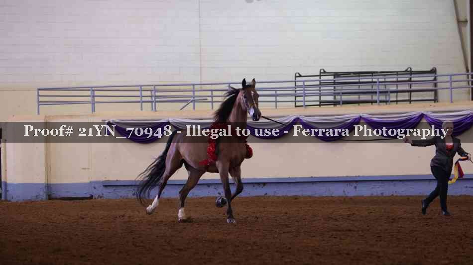 Proof 21YN_70948