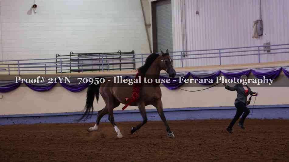 Proof 21YN_70950