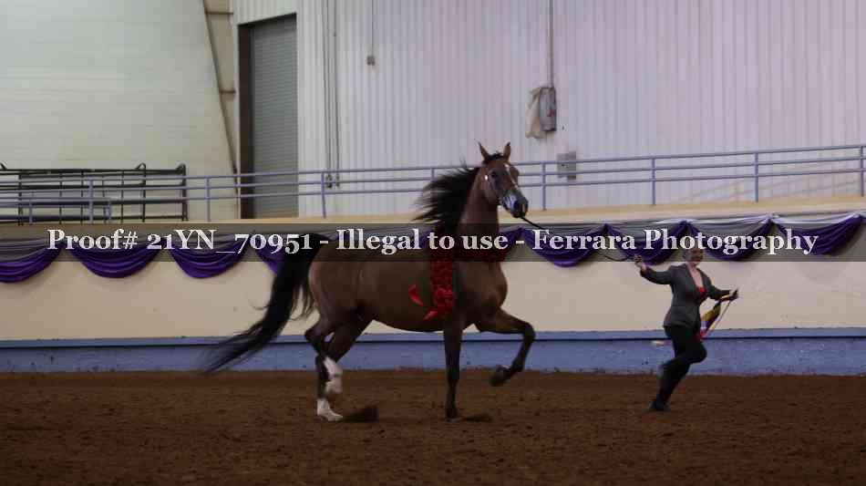 Proof 21YN_70951