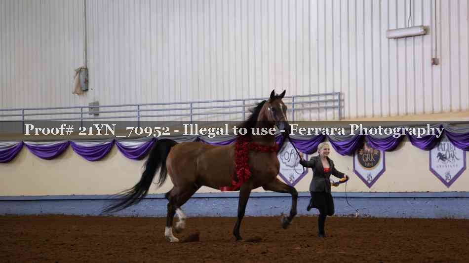 Proof 21YN_70952