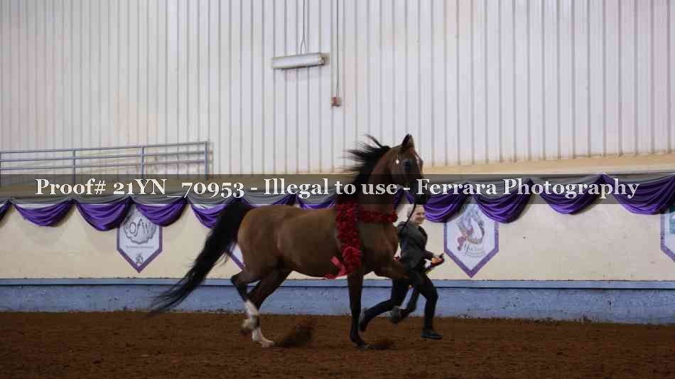 Proof 21YN_70953