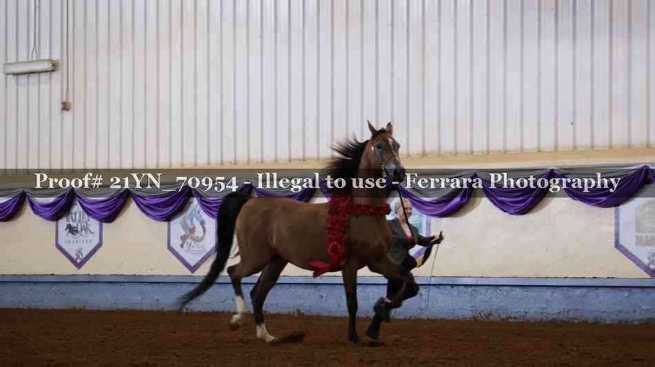 Proof 21YN_70954