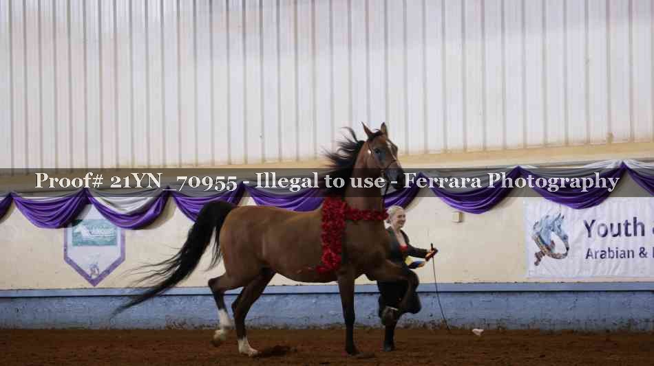 Proof 21YN_70955