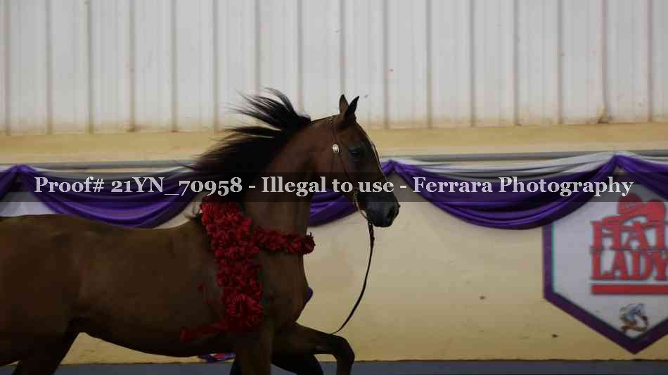 Proof 21YN_70958