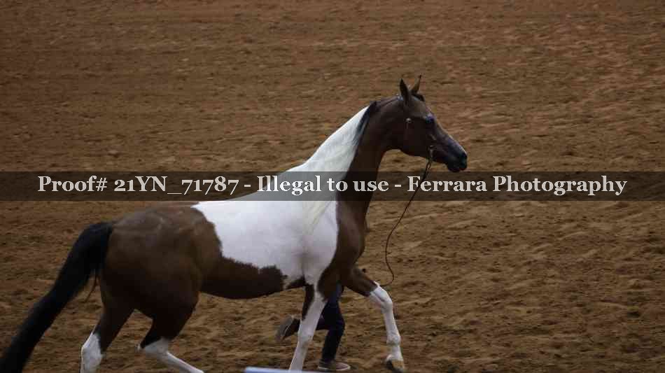 Proof 21YN_71787