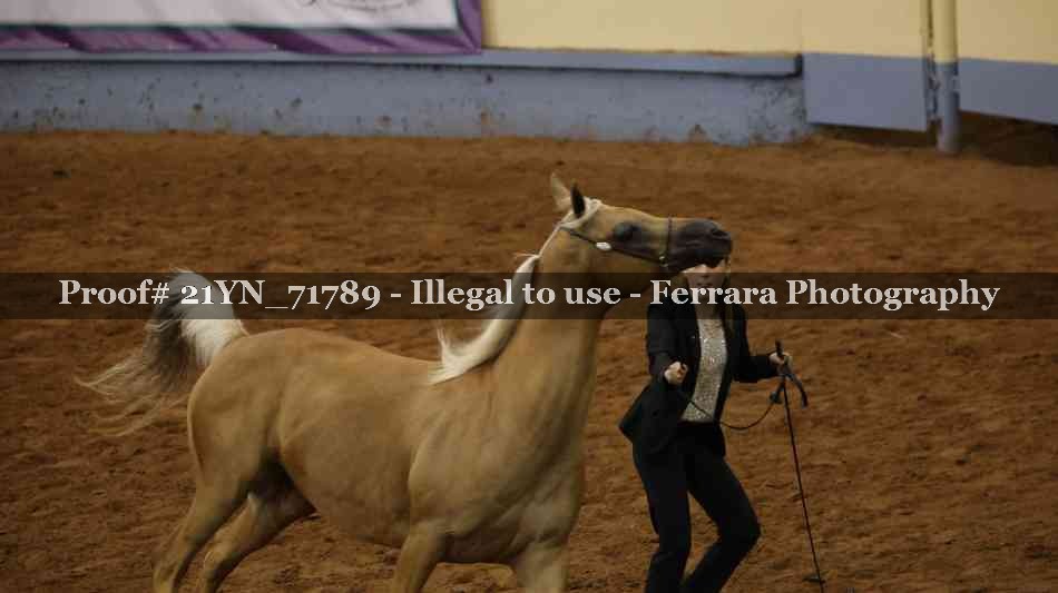 Proof 21YN_71789
