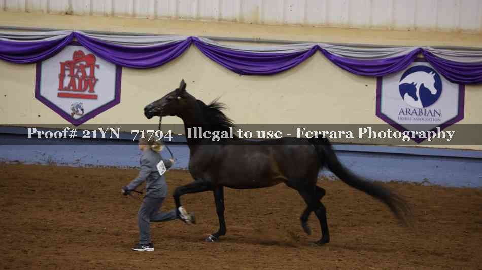 Proof 21YN_71794