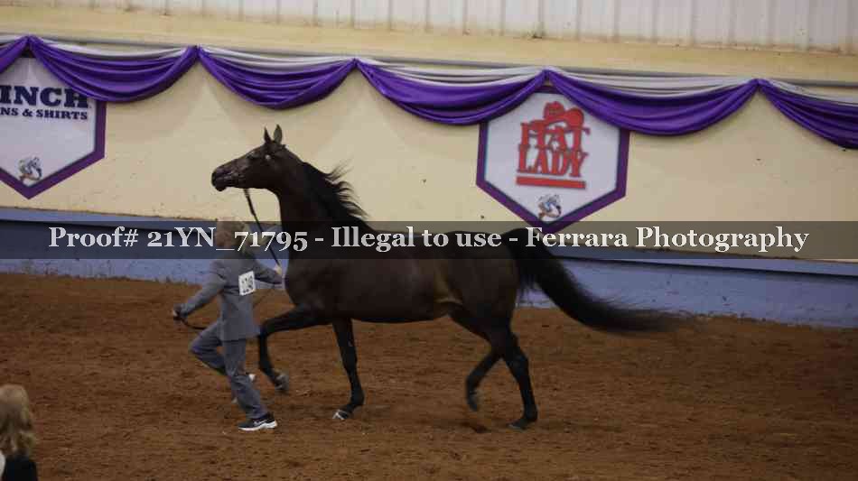 Proof 21YN_71795