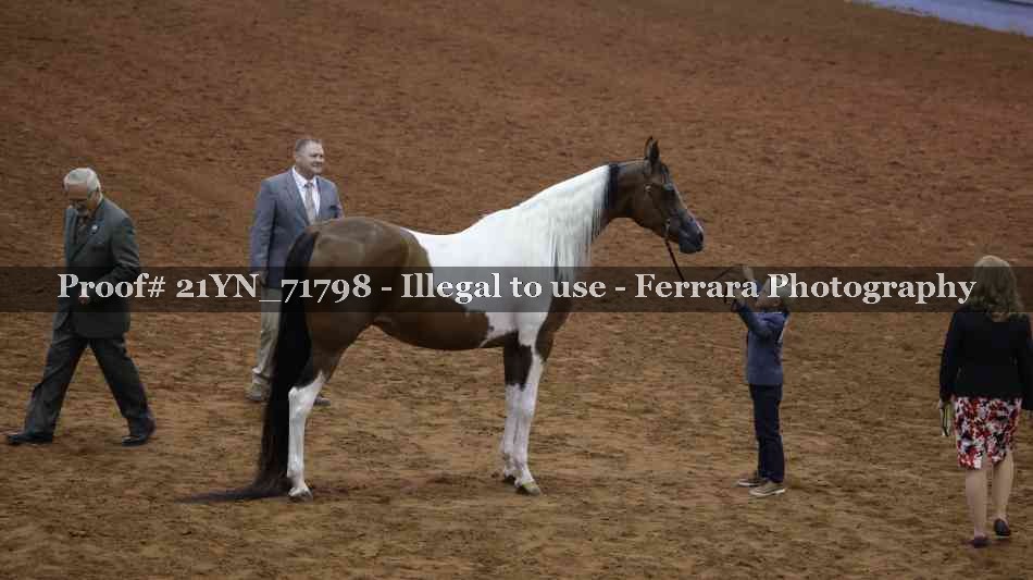 Proof 21YN_71798