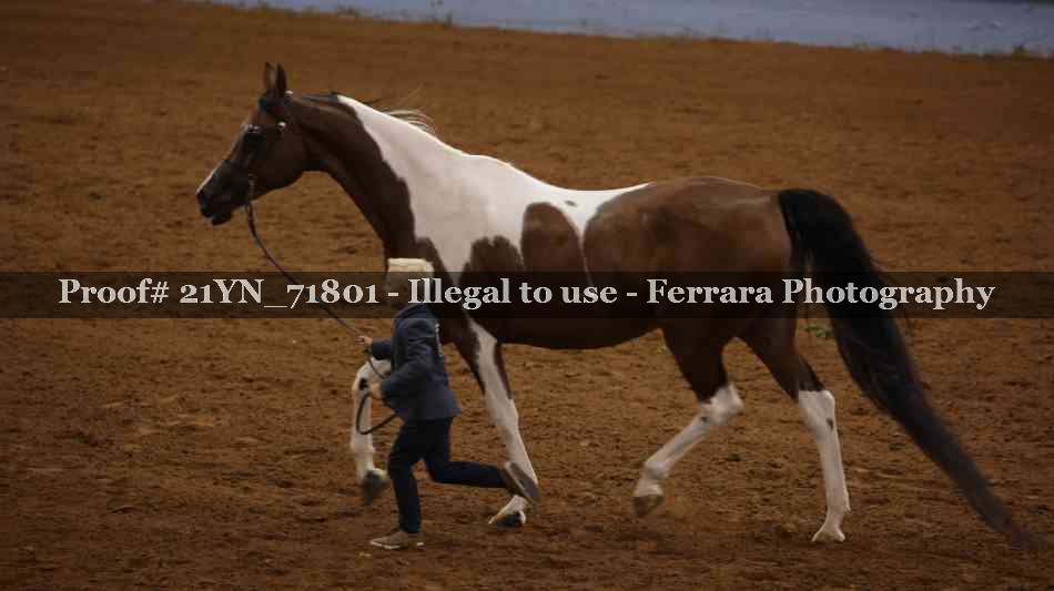 Proof 21YN_71801