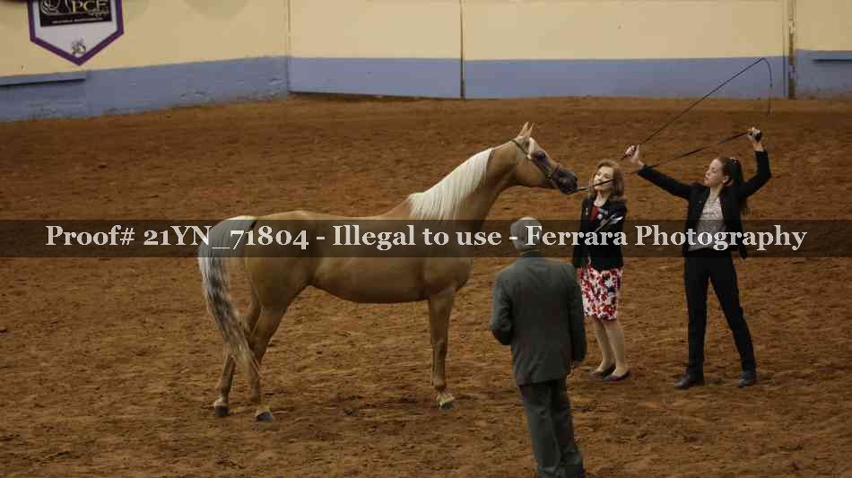Proof 21YN_71804