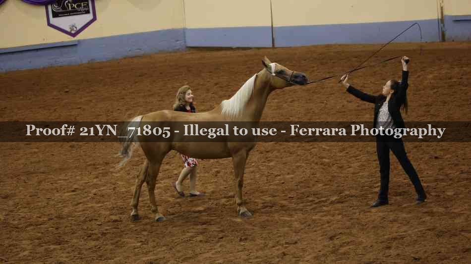 Proof 21YN_71805