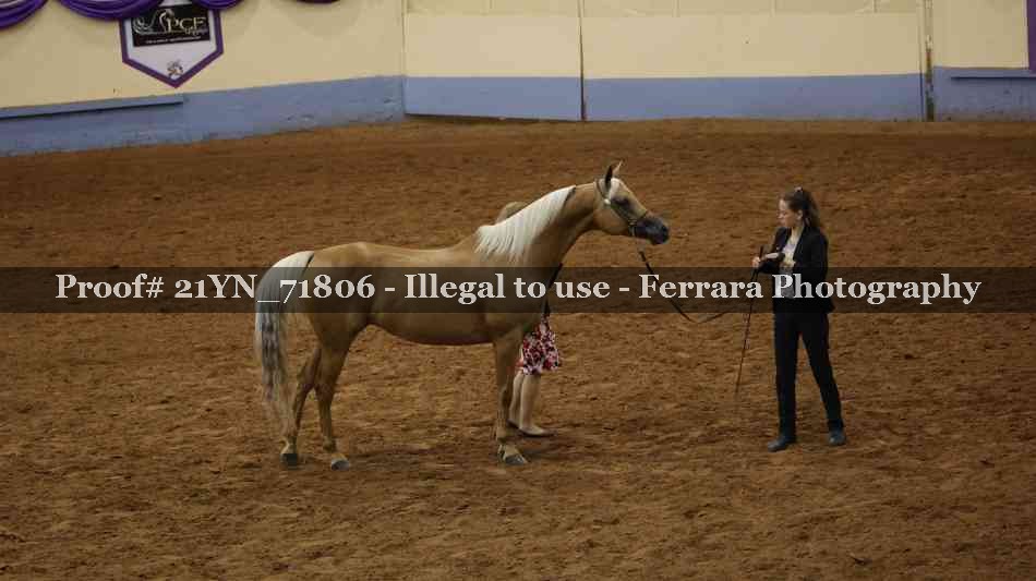 Proof 21YN_71806