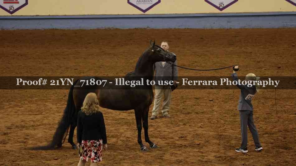 Proof 21YN_71807