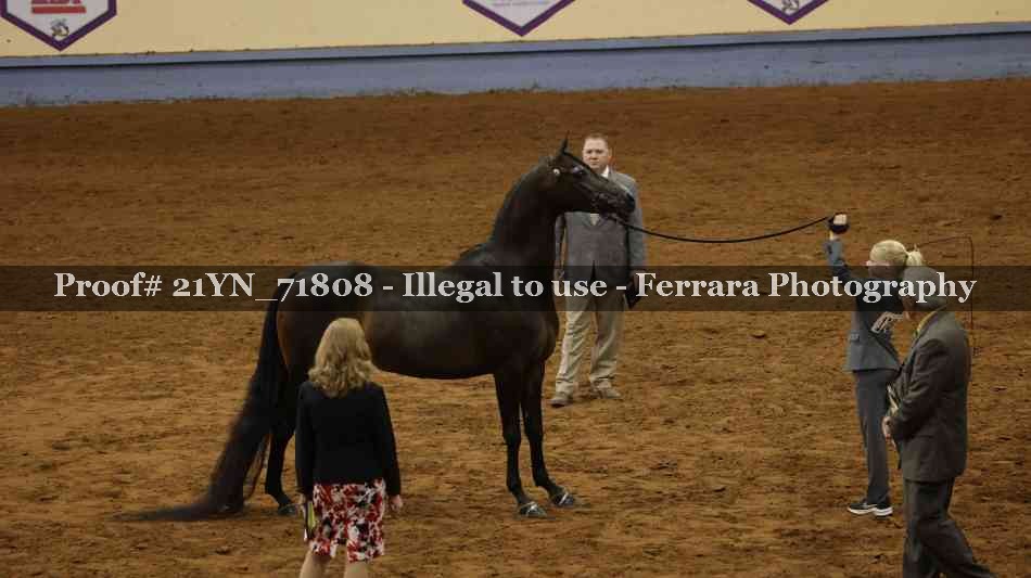 Proof 21YN_71808
