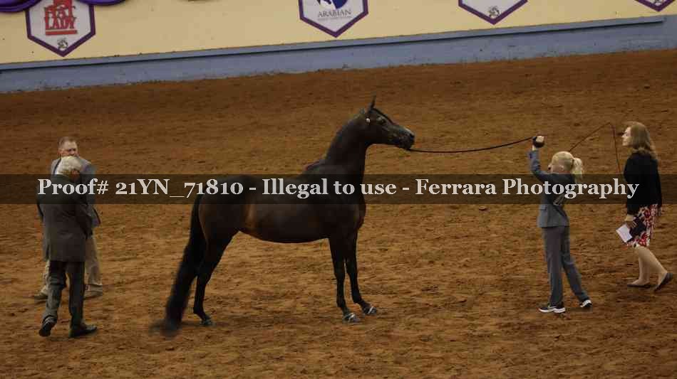 Proof 21YN_71810