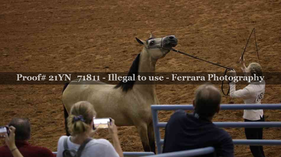 Proof 21YN_71811