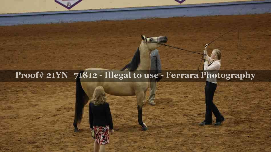 Proof 21YN_71812