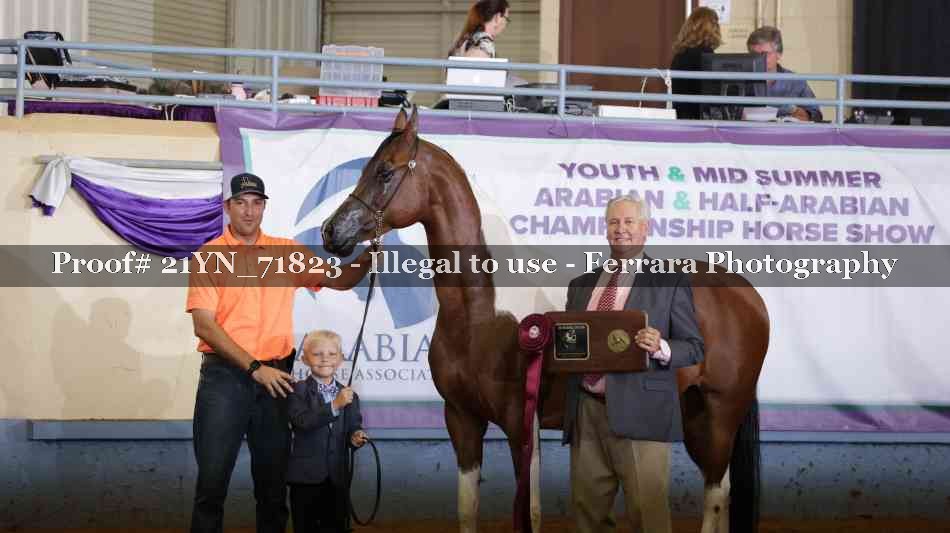Proof 21YN_71823