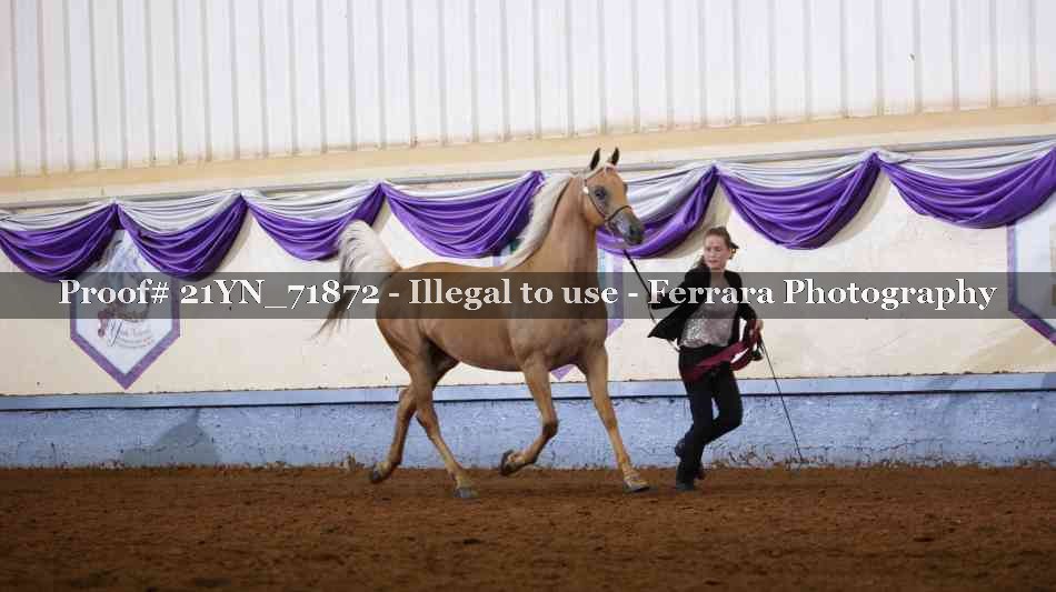 Proof 21YN_71872