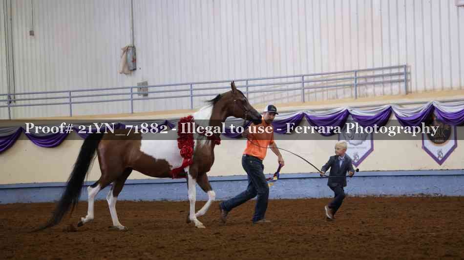 Proof 21YN_71882