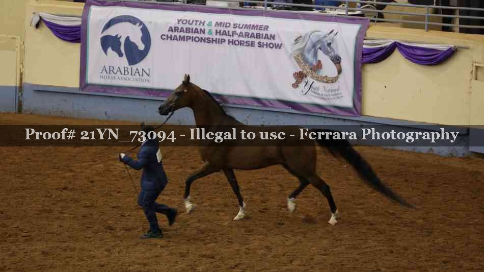 Proof 21YN_73094