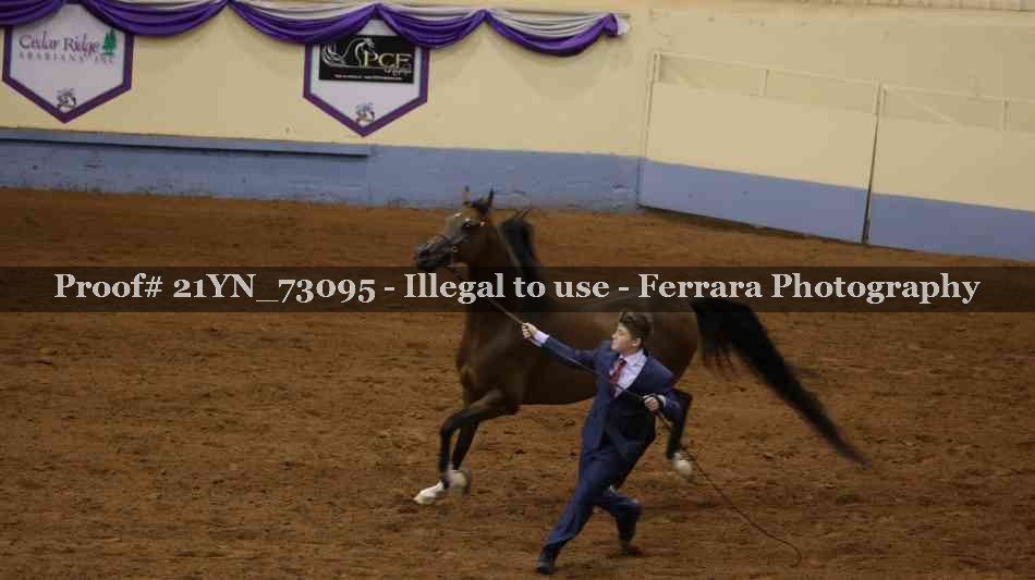 Proof 21YN_73095