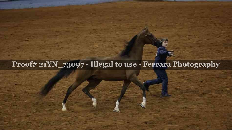 Proof 21YN_73097