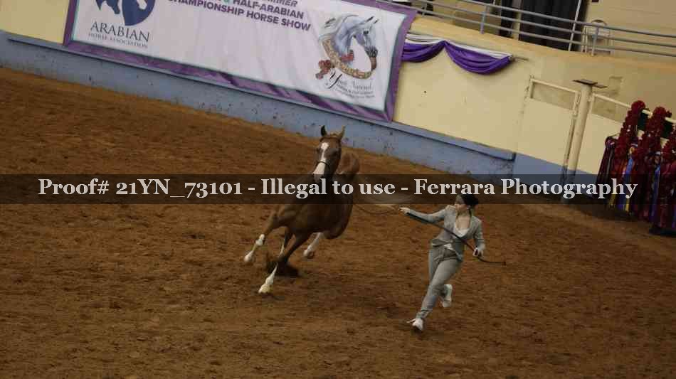 Proof 21YN_73101