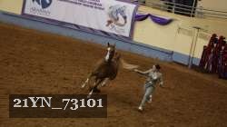 21YN_73101 proof