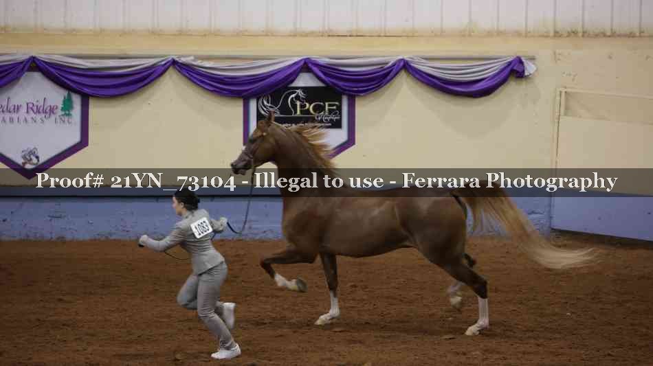 Proof 21YN_73104