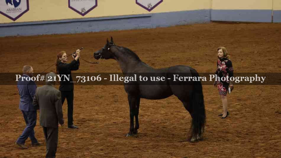 Proof 21YN_73106