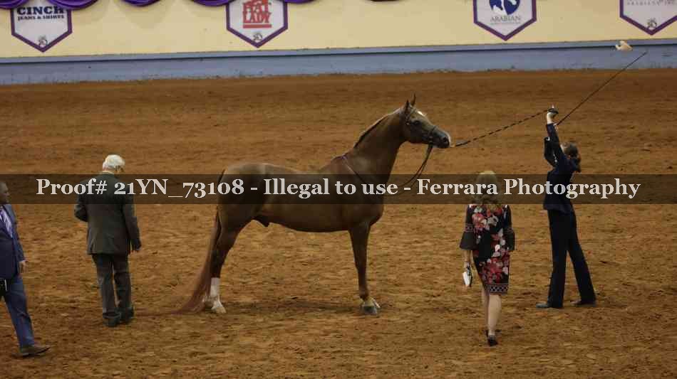 Proof 21YN_73108