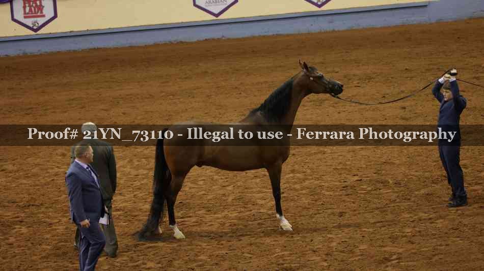 Proof 21YN_73110